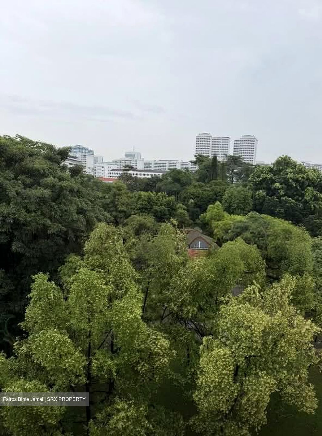 Blk 107 Bukit Purmei Road (Bukit Merah), HDB 3 Rooms #574641811